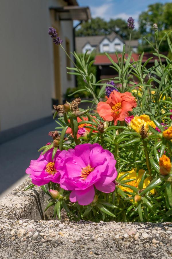 Mikes Vendeghaz Hotel Balatonfured Ngoại thất bức ảnh